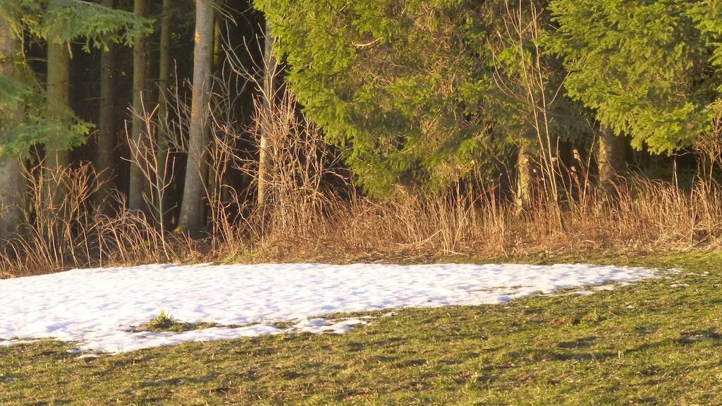 Andreas Lägenhet Creglingen Exteriör bild